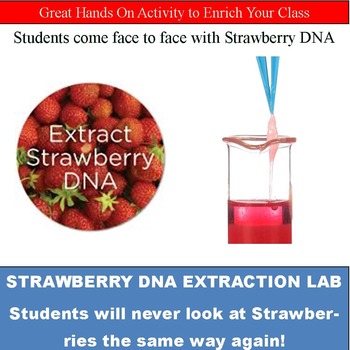 strawberry dna under microscope