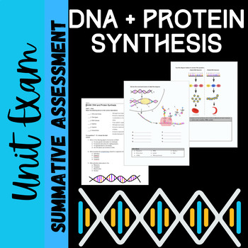 Preview of DNA and Protein Synthesis Exam