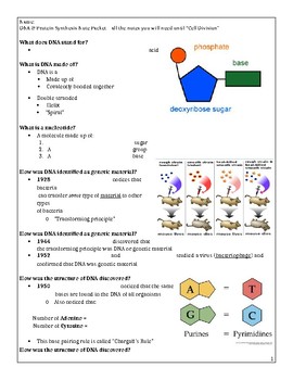 Preview of DNA and Protein Synthesis Guided Notes