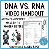 DNA vs RNA Amoeba Sisters Video Handout