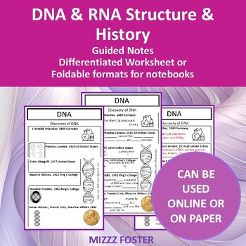 Preview of DNA and RNA One-page Differentiated Foldable or Worksheet Notes