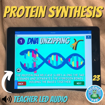 Preview of DNA and RNA Presentation - Steps of Protein Synthesis Lesson - Sub plans Slides