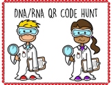DNA and RNA QR Code Hunt (Content Review or Notebook Quiz)