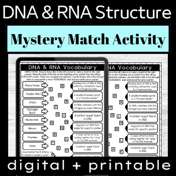 Preview of DNA and RNA Structure Vocabulary Activity