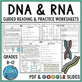 RNA and DNA Reading Comprehension and Worksheets