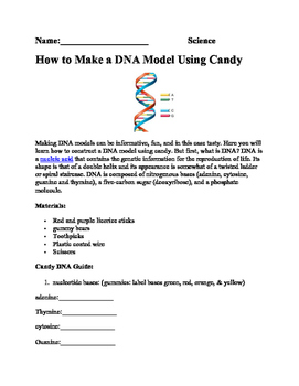Preview of DNA lab, making a model with candy