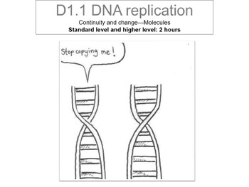 Preview of DNA replication  IBDP biology D 1.1 topic