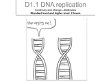 DNA replication  IBDP biology D 1.1 topic