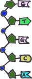 DNA strand clip art