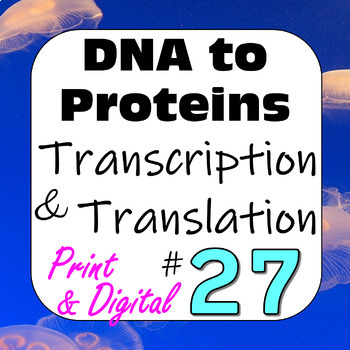 Preview of DNA to Proteins Central Dogma: Transcription & Translation Digital+Print Set #27