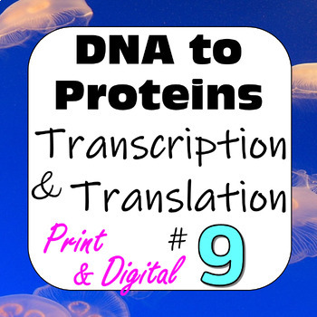 Preview of DNA to Proteins Central Dogma: Transcription & Translation Digital+Print Set #9