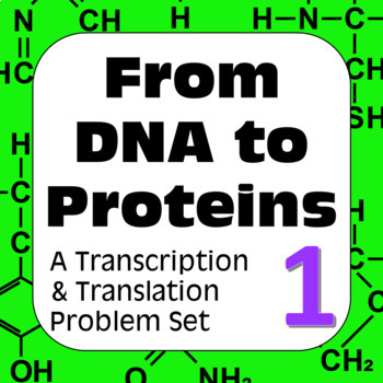 Preview of DNA to Proteins: Transcription, Translation & Constructing a Polypeptide Set #1