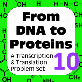 Preview of DNA to Proteins: Transcription, Translation & Constructing a Polypeptide Set #10