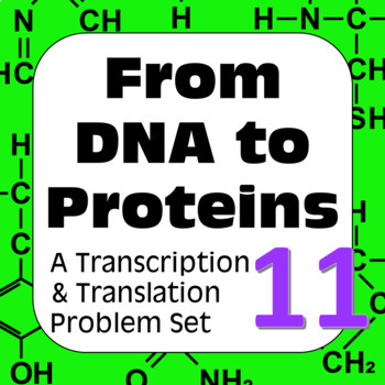 Preview of DNA to Proteins: Transcription, Translation & Constructing a Polypeptide Set #11