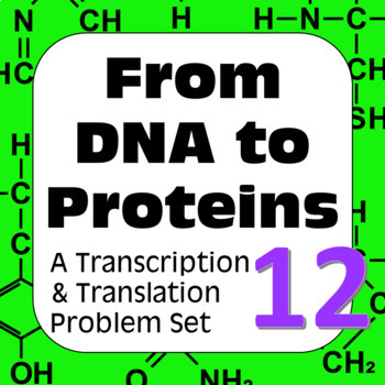 Preview of DNA to Proteins: Transcription, Translation & Constructing a Polypeptide Set #12