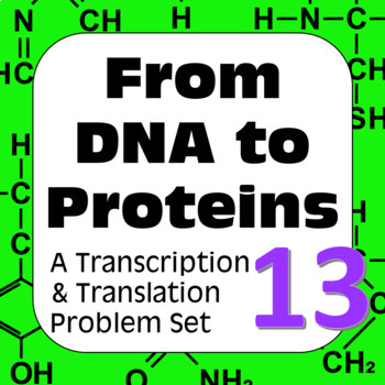 Preview of DNA to Proteins: Transcription, Translation & Constructing a Polypeptide Set #13