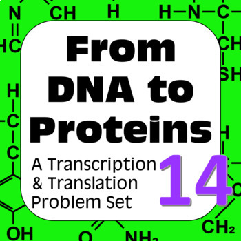 Preview of DNA to Proteins: Transcription, Translation & Constructing a Polypeptide Set #14