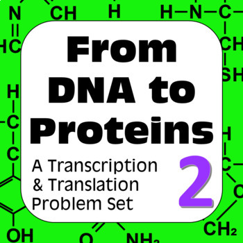 Preview of DNA to Proteins: Transcription, Translation & Constructing a Polypeptide Set #2