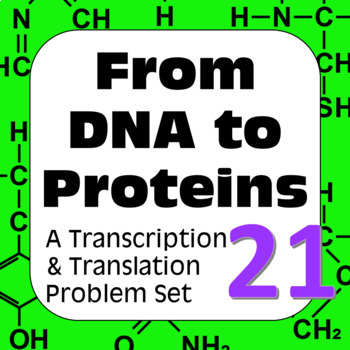 Preview of DNA to Proteins: Transcription, Translation & Constructing a Polypeptide Set #21