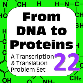 Preview of DNA to Proteins: Transcription, Translation & Constructing a Polypeptide Set #22