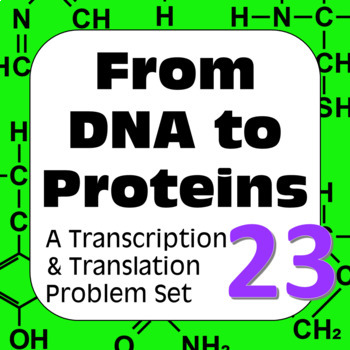 Preview of DNA to Proteins: Transcription, Translation & Constructing a Polypeptide Set #23