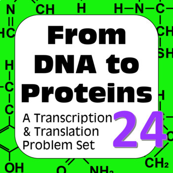 Preview of DNA to Proteins: Transcription, Translation & Constructing a Polypeptide Set #24