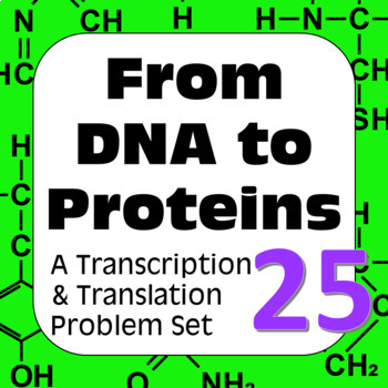 Preview of DNA to Proteins: Transcription, Translation & Constructing a Polypeptide Set #25