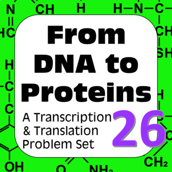 Preview of DNA to Proteins: Transcription, Translation & Constructing a Polypeptide Set #26
