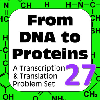 Preview of DNA to Proteins: Transcription, Translation & Constructing a Polypeptide Set #27