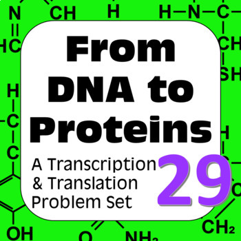 Preview of DNA to Proteins: Transcription, Translation & Constructing a Polypeptide Set #29