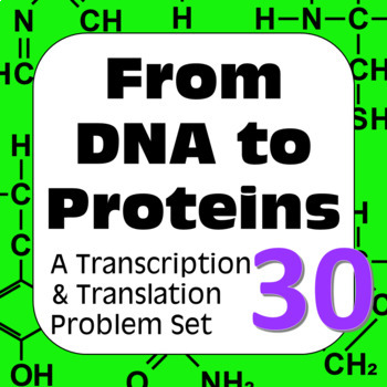 Preview of DNA to Proteins: Transcription, Translation & Constructing a Polypeptide Set #30