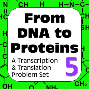 Preview of DNA to Proteins: Transcription, Translation & Constructing a Polypeptide Set #5