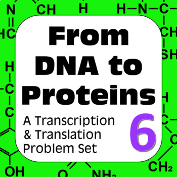 Preview of DNA to Proteins: Transcription, Translation & Constructing a Polypeptide Set #6