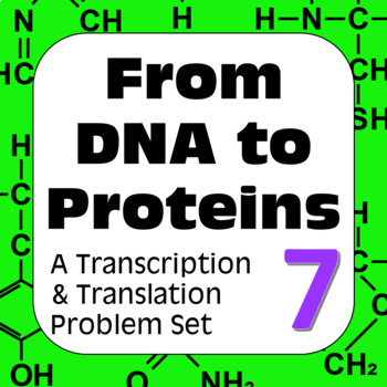 Preview of DNA to Proteins: Transcription, Translation & Constructing a Polypeptide Set #7