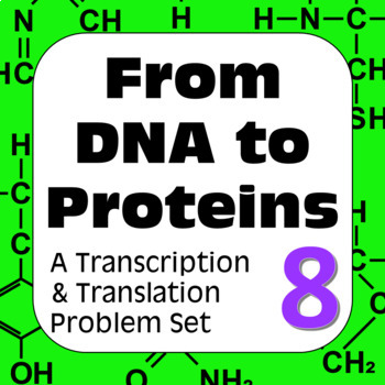 Preview of DNA to Proteins: Transcription, Translation & Constructing a Polypeptide Set #8