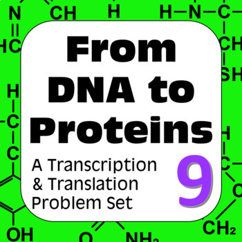 Preview of DNA to Proteins: Transcription, Translation, & Constructing a Polypeptide Set #9