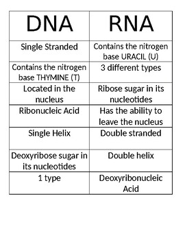 Preview of DNA v RNA Card Sort: High School Biology