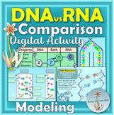 DNA vs RNA Digital Resource with Comparison Activities and