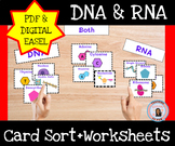 DNA Structure Card Sort Task Cards Principles of Biomedica