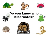 Hibernation activity/Do You Know Who Hibernates