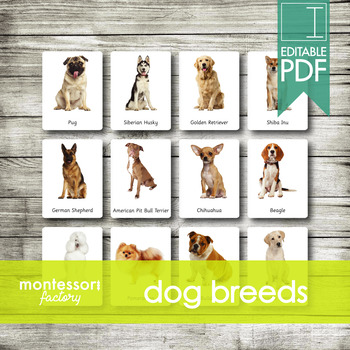 Preview of DOG BREEDS • Montessori Cards • Flash Cards • Three Part Cards