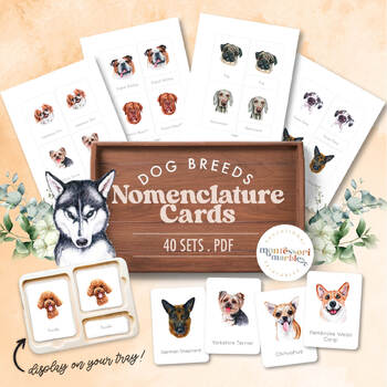 Preview of DOG BREEDS Nomenclature Cards | Montessori Inspired Resource | Pets