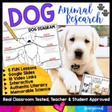 DOGS . 5 days of engaging animal research w/ video links, 