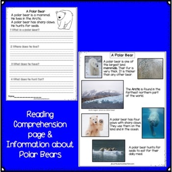 DOLLAR DEAL! A Polar Bear Poem/Song & Literacy Activities | TPT