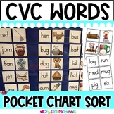 DOLLAR DEAL! CVC Words Pocket Chart Sorting Center | CVC W