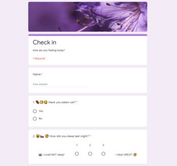 Preview of DOLLAR DEAL Feelings Check In - Google Form