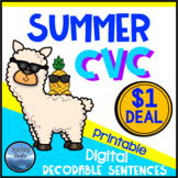DOLLAR DEAL - Summer CVC Words Decodable Sentence Reading 