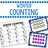 DOLLAR DEAL- Winter Counting to 20 Write The Room and Prin