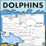 Dolphins Teaching Resources | Teachers Pay Teachers