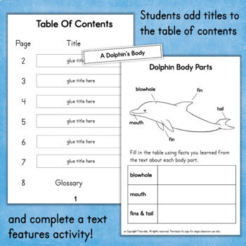 Dolphin Habitats: Lesson for Kids - Video & Lesson Transcript